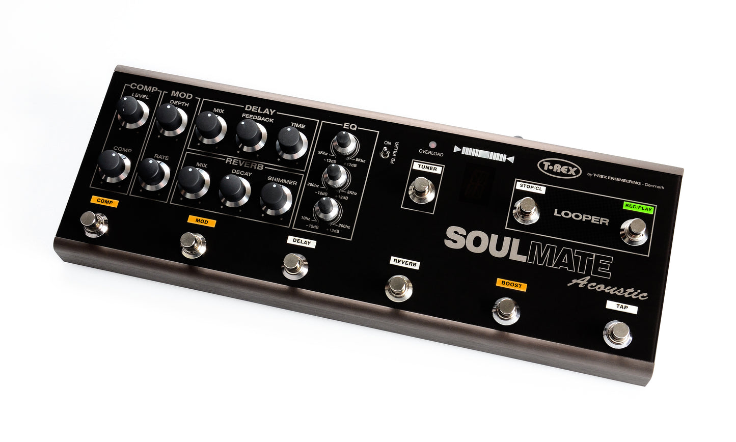 Soulmate Acoustic Pedal Board