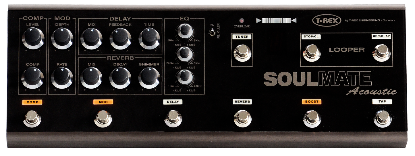 Soulmate Acoustic Pedal Board